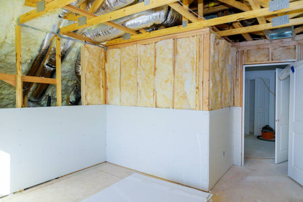 Best Attic Insulation Installation  in Shawneeland, VA