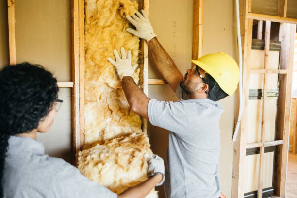 Best Insulation Replacement Services  in Shawneeland, VA