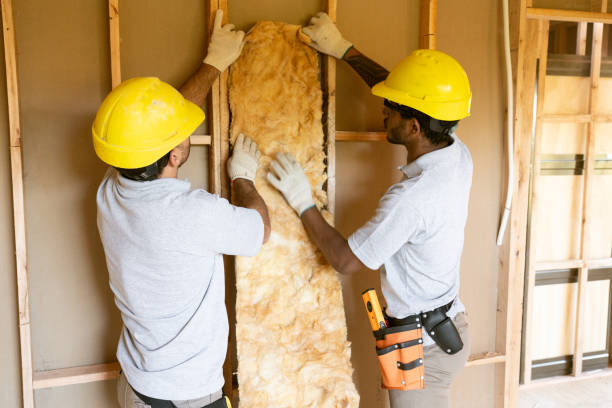 Insulation for Commercial Buildings in Shawneeland, VA