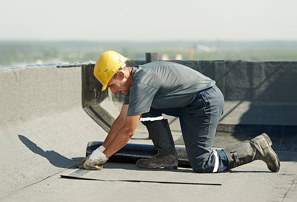 Best Professional Insulation Contractor  in Shawneeland, VA