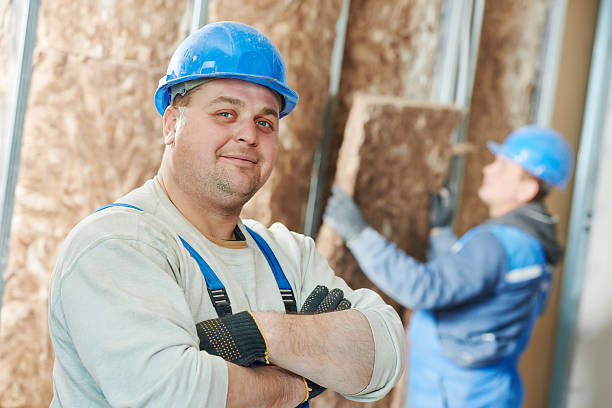 Best Insulation Contractors for Homes  in Shawneeland, VA